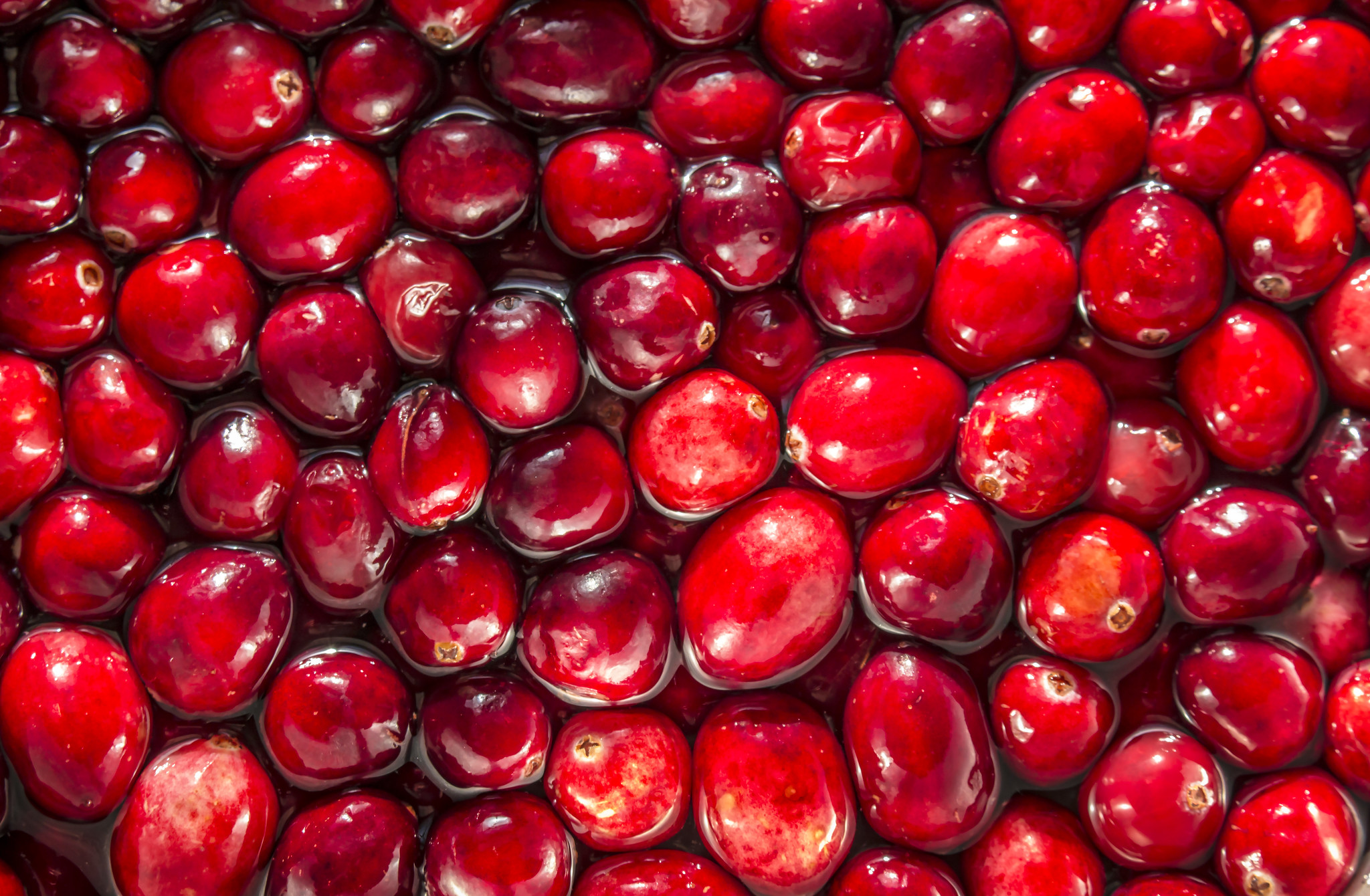 A Craving for Cranberries