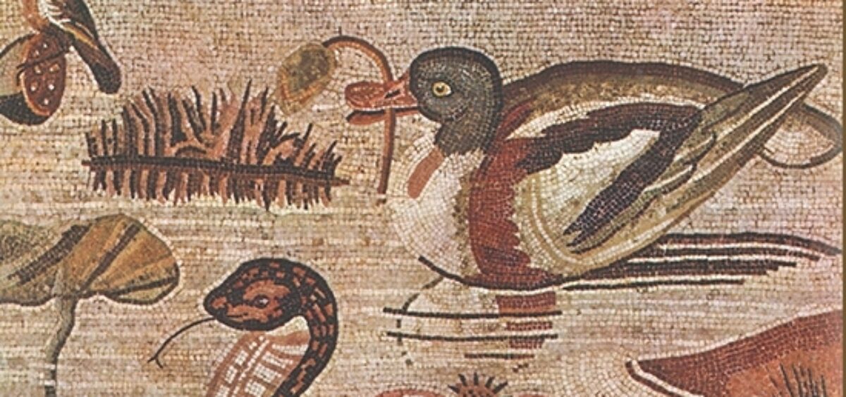 „Historia naturalna”, czyli wielkie święto wyobraźni