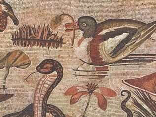 „Historia naturalna”, czyli wielkie święto wyobraźni