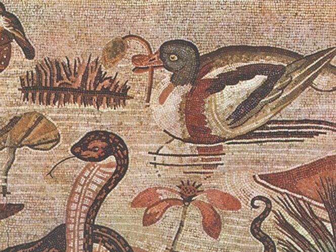 „Historia naturalna”, czyli wielkie święto wyobraźni