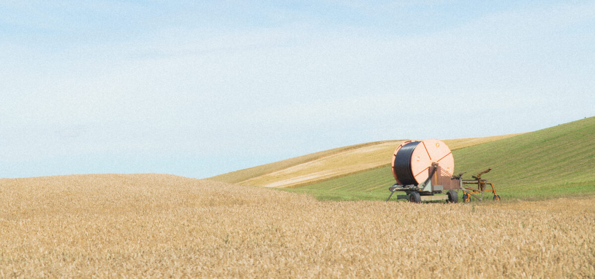 Alone in&nbsp;the Bosom of Nature