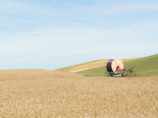 Alone in the Bosom of Nature