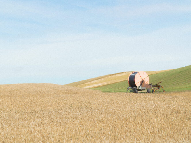 Alone in&nbsp;the Bosom of&nbsp;Nature