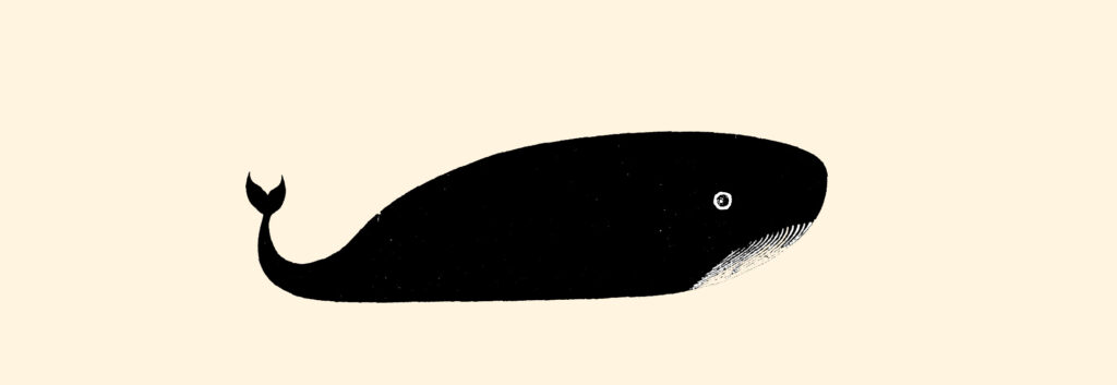 The Quack