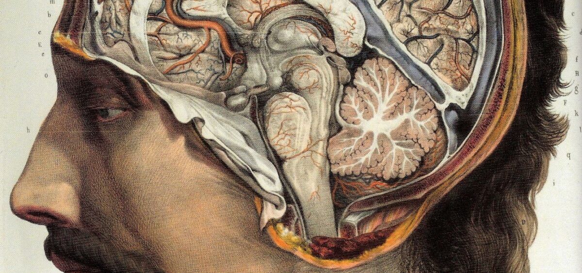 Partial Recall