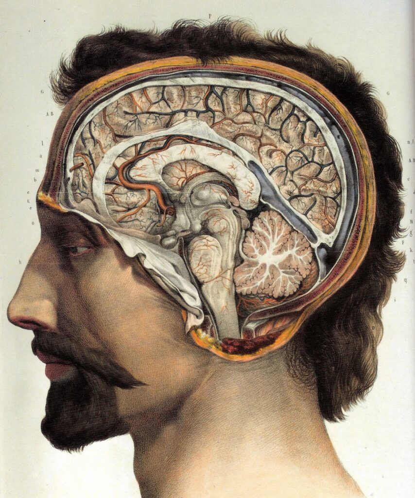Partial Recall