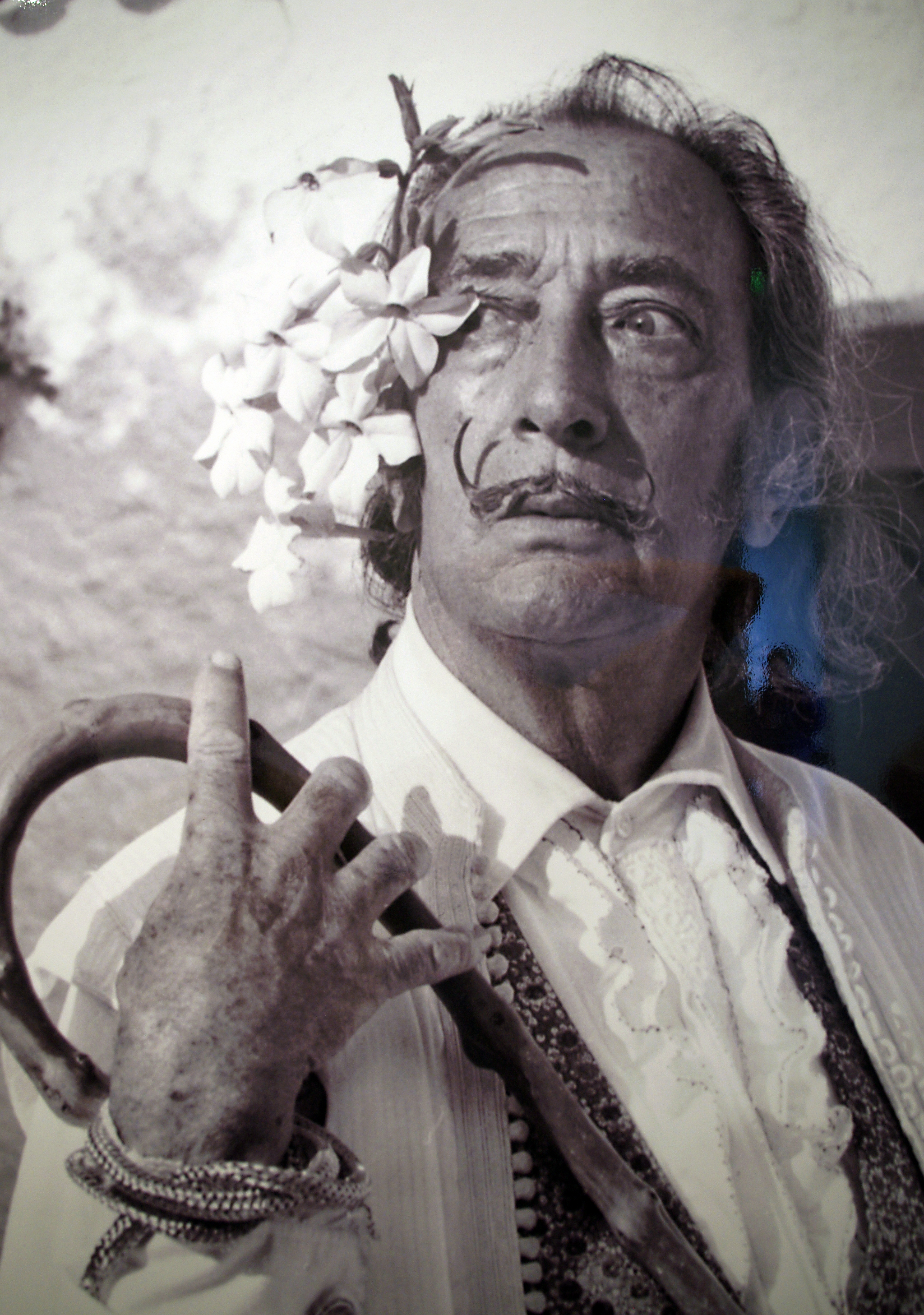Tajemne życie Salvadora Dalí