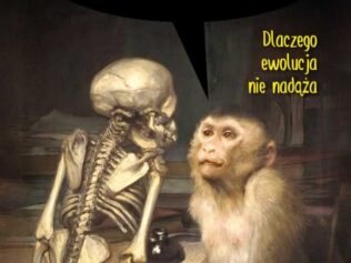 Dlaczego ewolucja nie nadąża