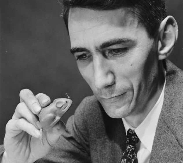 Jak Claude Shannon wynalazł przyszłość