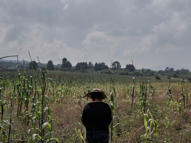 Mujeres de&nbsp;la&nbsp;Tierra