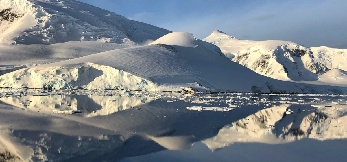 A&nbsp;White Polar Summer