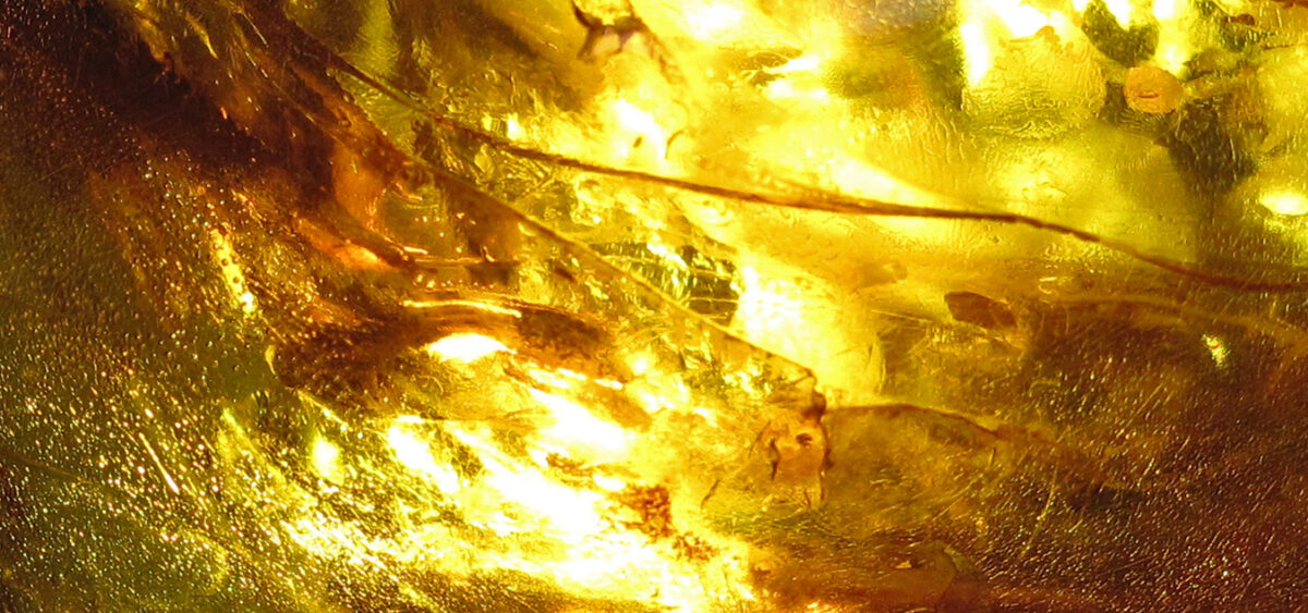 Tears of&nbsp;the Sun