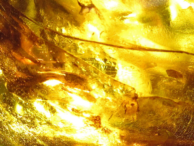 Tears of&nbsp;the Sun