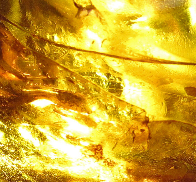 Tears of the Sun