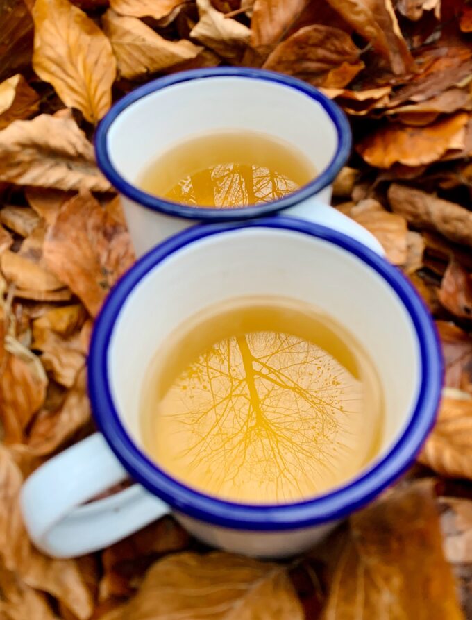The Chemistry of Tea