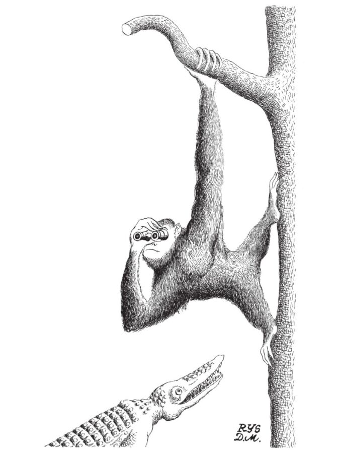Małpa i&nbsp;krokodyl