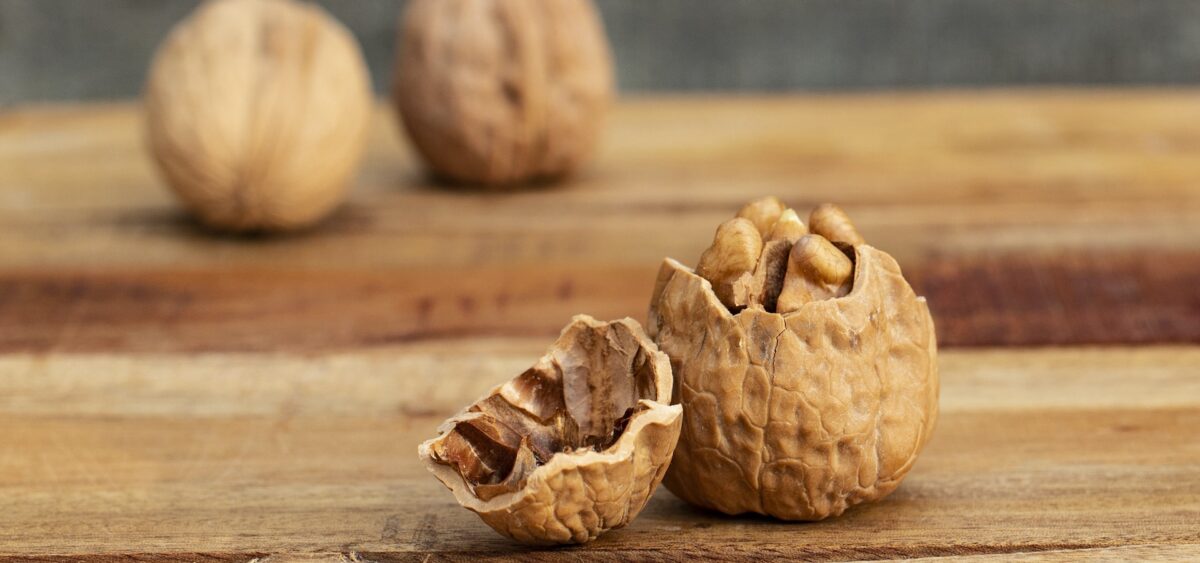 My&nbsp;Kingdom for a&nbsp;Nut