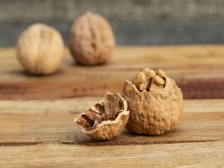 My Kingdom for a Nut
