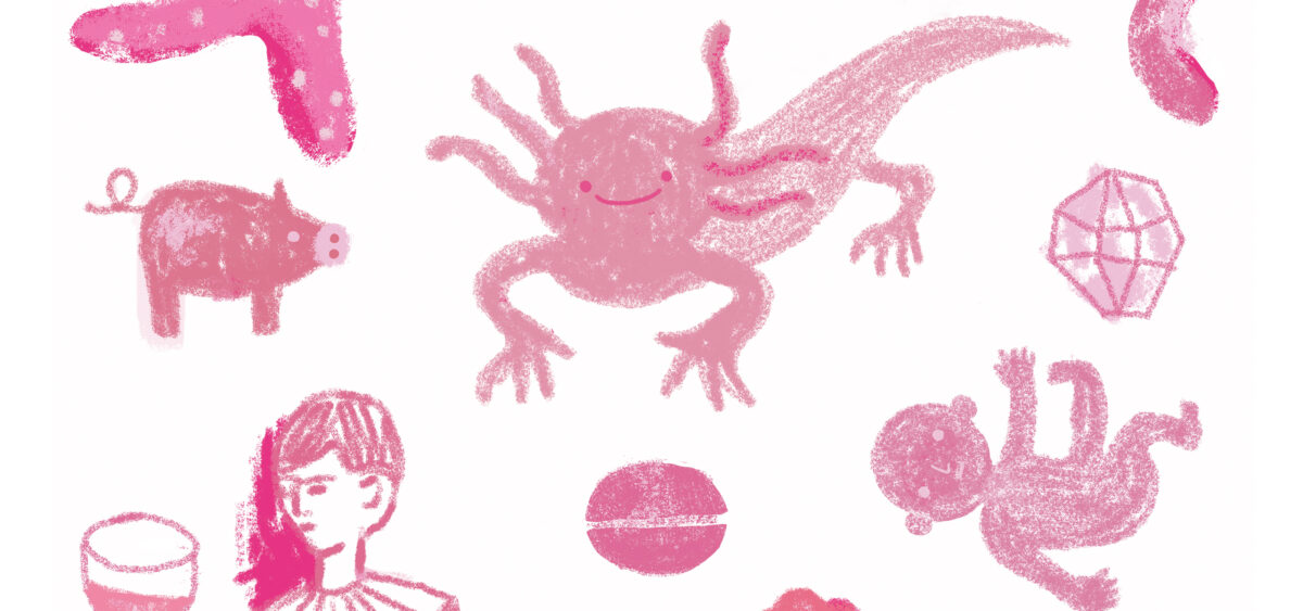 Pink Doesn’t Exist