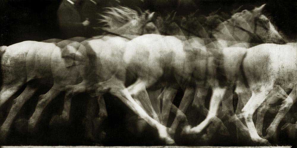Chronofotografia, Galop białego konia, 1886 r. 