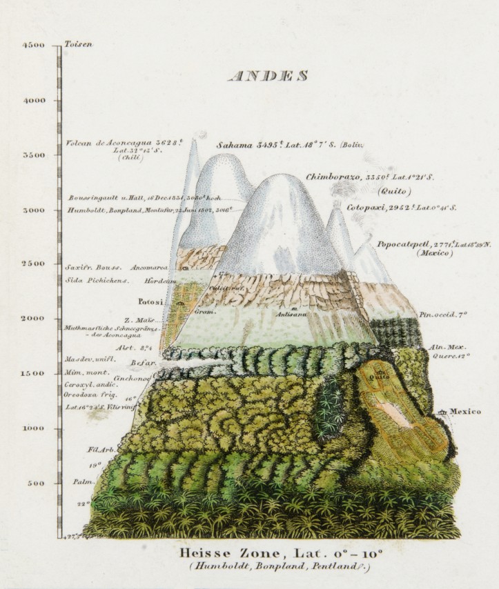Strefy roślinne w Andach według Humboldta, za "Physikalischer Atlas" Heinricha Bergusa, tom V, 1851 r. 