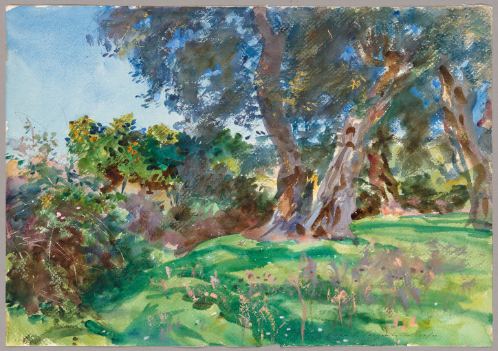 "Drzewa oliwkowe na Korfu", John Singer Sargent, 1909; źródło: Art Institute of Chicago (domena publiczna)