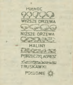 rysunek archiwum, nr 1754/1978