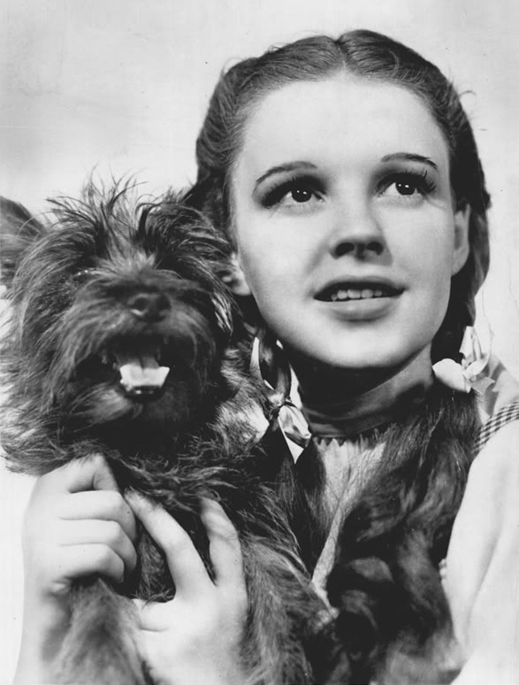 Judy Garland w filmie "Czarnoksiężnik z Oz" (1939)
