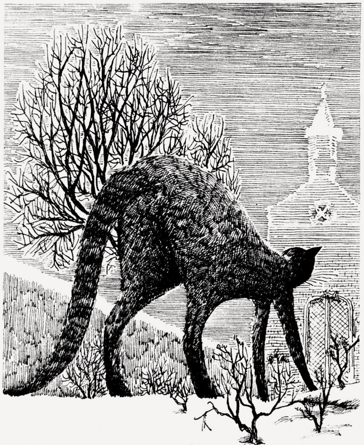 ilustracja: Daniel Mróz, archiwum, nr 699/1958r.