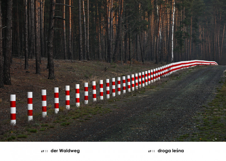 Droga leśna, Andrzej Tobis; zdjęcie dzięki uprzejmości autora