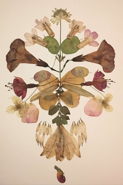 Przemek Branas, "Poisonous mask", kolaż; szuszone kwiaty z ogrodu Claude’a Moneta w Giverny, 2017 r. 