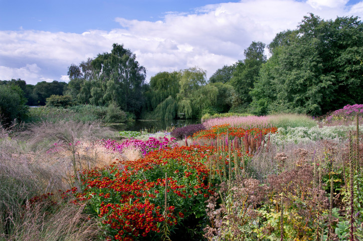 Millennium Garden w Pensthorpe Natural Park, Wielka Brytania, 2000 r.; zdjęcie: Steve Foster Photography/Alamy Stock Photo