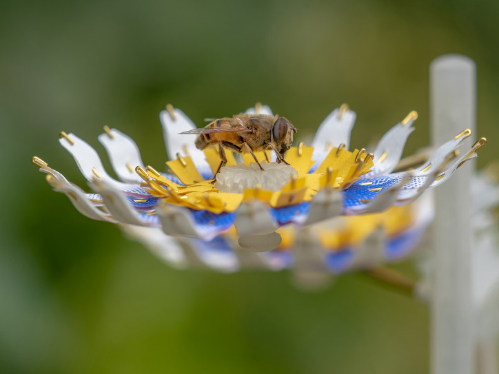 Kwiat dla pszczół, Atelier Boelhouwer, 2018 r.; zdjęcie: Janneke van der Pol