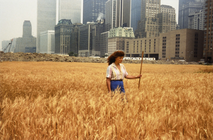 Agnes Denes, Pola pszenicy – konfrontacja: wysypisko Battery Park, dolny Manhattan – z Agnes Denes stojącą w polu (1982)/ mat. MSN