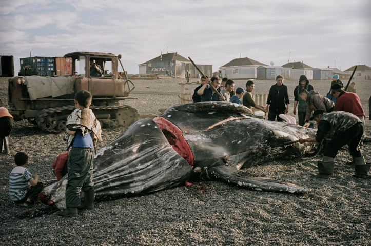 "The Whale From Lorino", directed by Maciej Cuske
