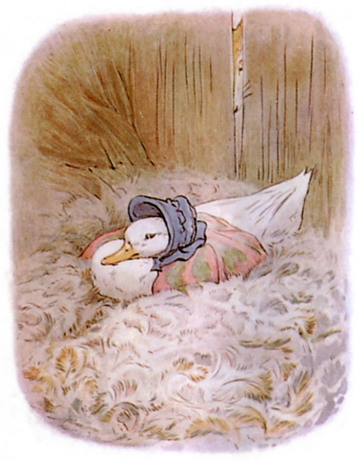 ilustracja z książki Beatrix Potter "Kaczka Tekla Kałużyńska", 1908 r./The Gutenberg Project