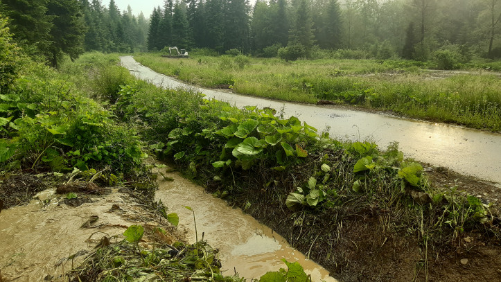 Wylesione składnice drewna i rowy - tak wyglądają lasy wodochronne na Podkarpaciu. Zdjęcie: Michał Książek