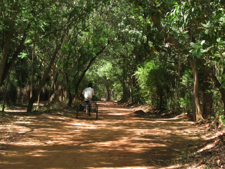 Auroville, zdjęcie: Mariel Drego/Flickr (CC BY 2.0)