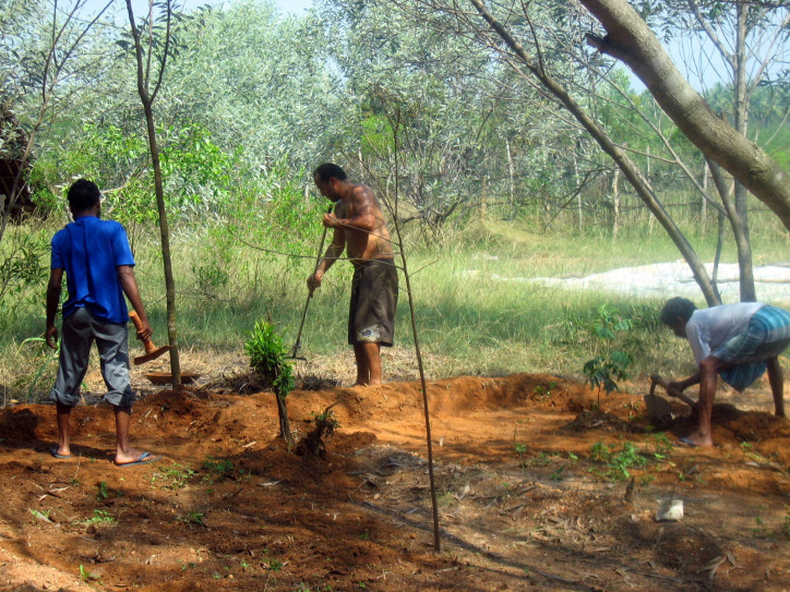 Prace w lesie Sadhana, zdjęcie: Ajay Tallam/Flickr (CC BY 2.0)