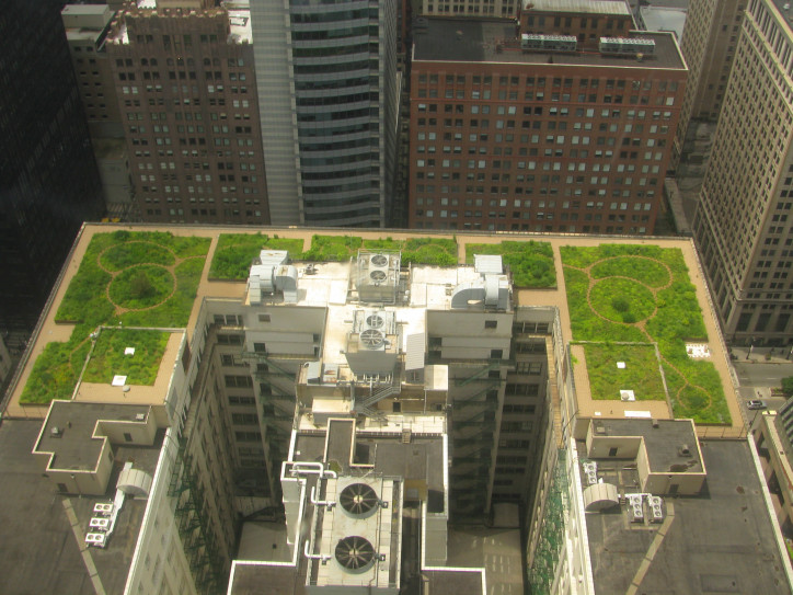 Zielony dach na ratuszu w Chicago (Wikimedia Commons)