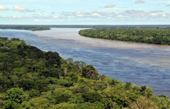 Widok z powietrza na Amazonkę, w regionie Manaus, fot. Neil Palmer (Wikimedia Commons)