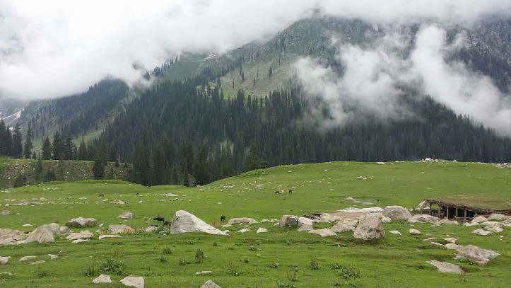 Łąki u podnóża gór w Chajber Pasztunchwa w Pakistanie