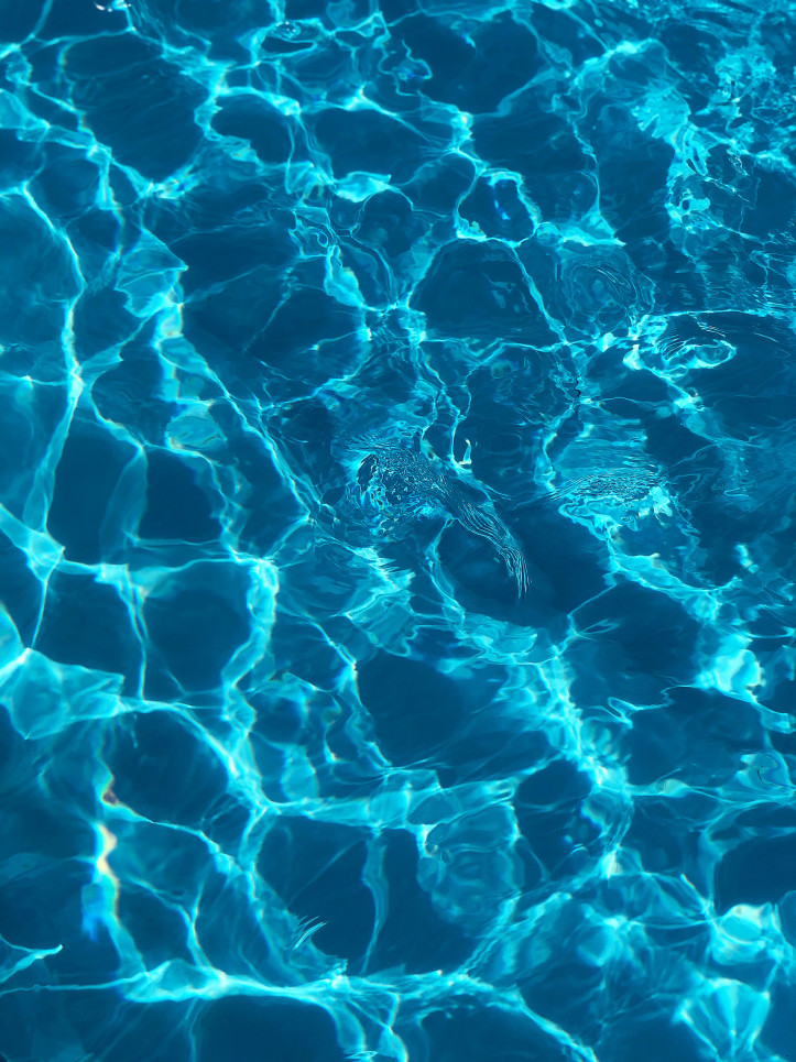 3. Refleksy światła na wodzie w basenie; zdjęcie: Artem Militonian/Unsplash