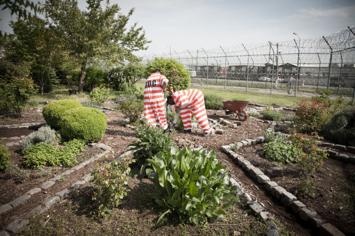 Rikers Island Prison Garden, New York, photo by Lindsay Morris