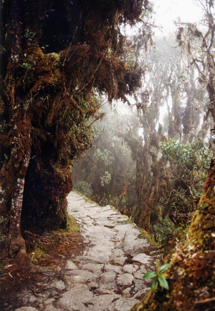 Road near Machu Picchu; public domain.