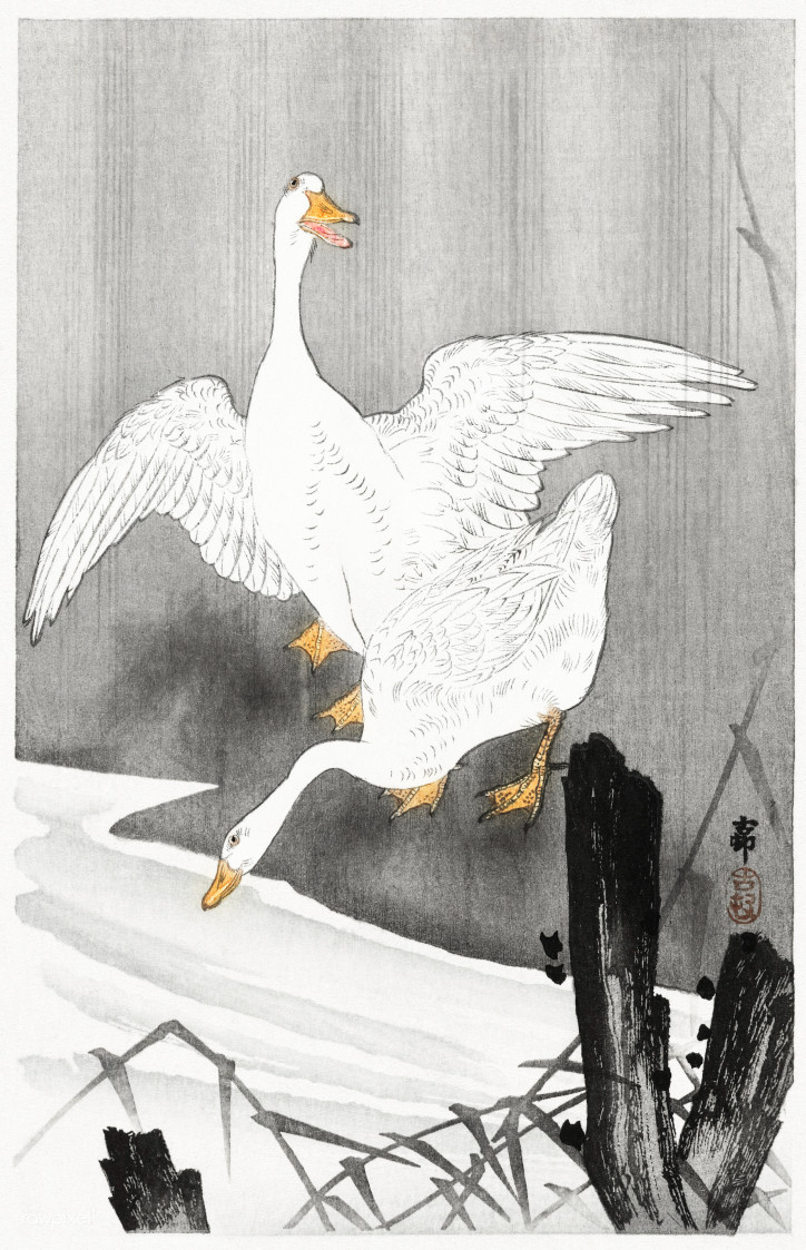Ohara Koson, ca. 1900–1930, Rijksmuseum/Rawpixel Ltd, Flickr (CC BY 4.0)