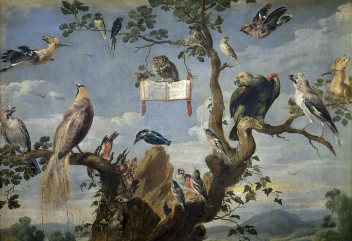 "Ptasi koncert", Frans Snyders, pomiędzy 1629 r. a 1630 r./Museo Nacional del Prado (domena publiczna)