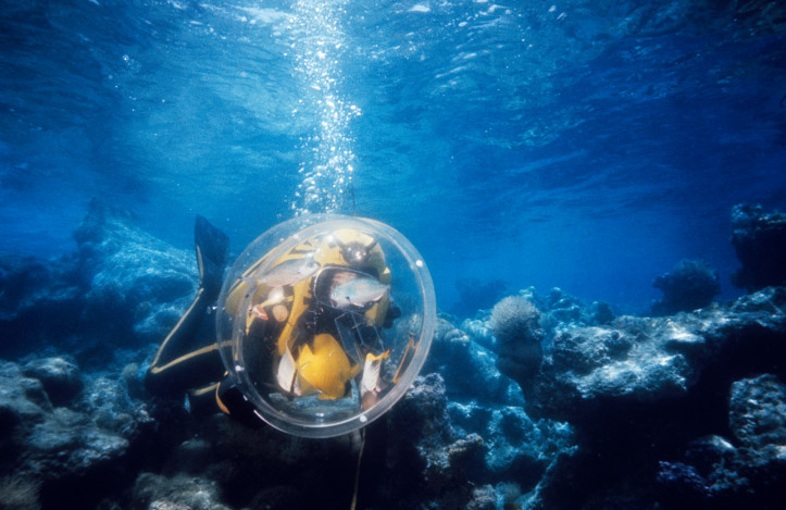Scena z "Podwodnego świata Jacques’a Cousteau", poszukiwanie morskich stworzeń, odc. "Noc kałamarnicy" 