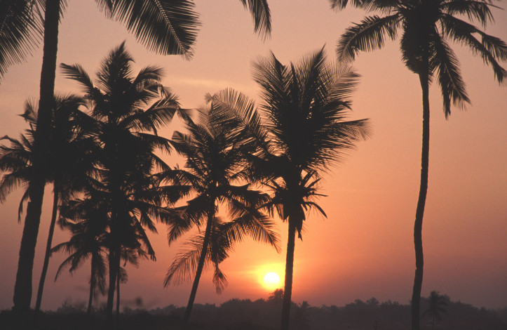 plaża Colva, Goa, Indie; zdjęcie: Rawdon Wyatt/Alamy Stock Photo